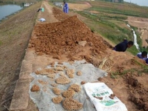 三水白蟻防治工程：水庫(kù)堤壩防治白蟻工程