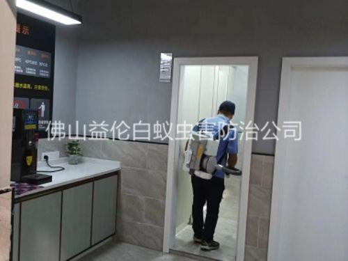 高明室內(nèi)消殺蚊蠅工程